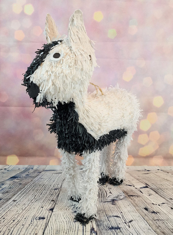 Pinata - Hund Schwarz-Weiß